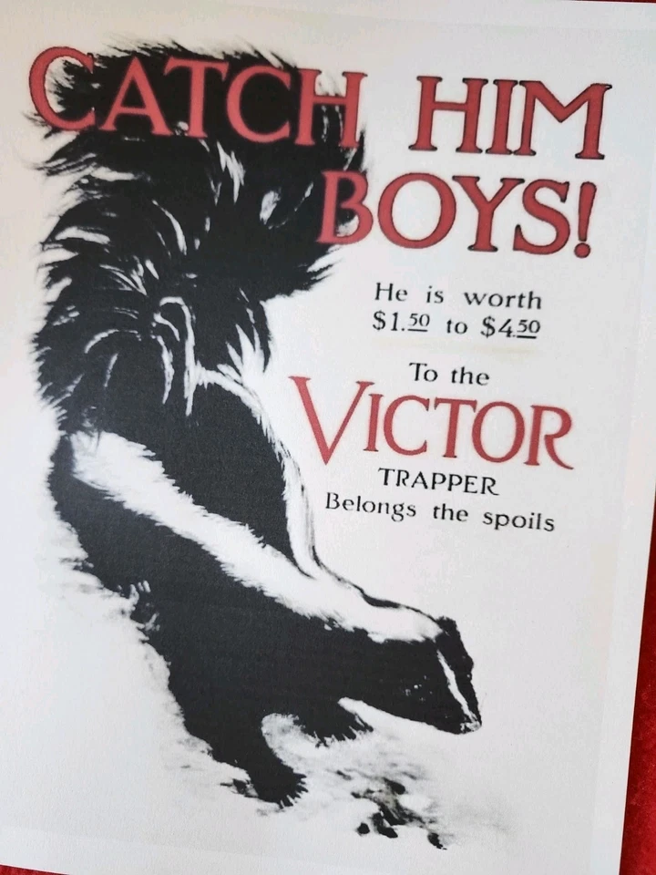 Victor Trap Publicidad SKUNK VICTOR ANIMAL Trampa Publicidad  Foto 1 de 1