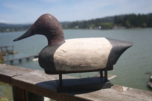Canvasback Drake decoy, by Ritzman (?), OP, glass eyes, solid wood. - Picture 1 of 12