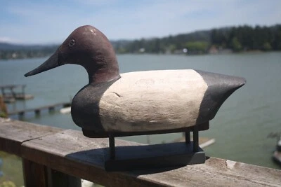 Canvasback Drake decoy, by Ritzman (?), OP, glass eyes, solid wood. - Image 1 of 4