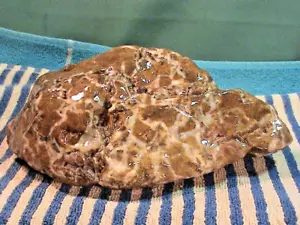 Brecciated Chalcedony Jasper, 100% Natural Lapidary Rock, 4 LBS, 11 OZ, #457 - Picture 1 of 24
