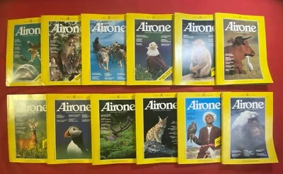 AIRONE 1982 ANNATA COMPLETA Lotto 12 Riviste Natura dal n. 9 al n. 20 - Immagine 1 di 4