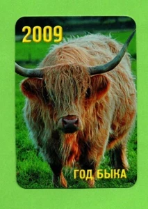 Calendario de bolsillo 2009 cuerno largo vaca toro animal europeo ruso? postal pájaro - Imagen 1 de 2