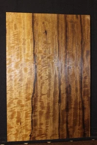 Cuerpo de guitarra de una pieza limba negro en blanco.  21,5 X 14,25 X 1,88" - Imagen 1 de 6