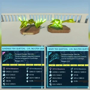 ARK ASCENDED PVE PAIR BABY TEK QUETZAL YELLOW ID04 TOP STATUS PC/XBOX/PS5 - Picture 1 of 5