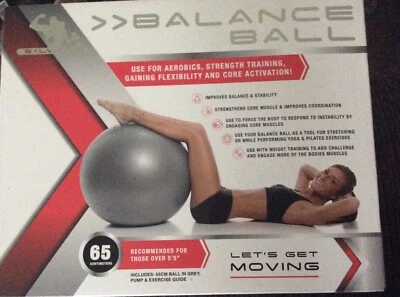 New Silver 1 Balance Ball 65 cm Ball Pump Exercise Guide - Image 1 of 4