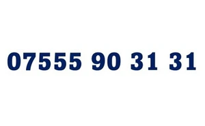 EASY MEMORABLE MOBILE PHONE NUMBER SIM CARD VIP BUSINESS GOLD VODAFONE - Zdjęcie 1 z 1