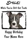 Staffordshire Bull Terrie A5 Personalised Card Birthday Anniversary Teeth smile