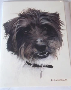 Dog Themed Blank Card by David Worrall. "Ragamuffin" By Little England Gallery - Picture 1 of 3
