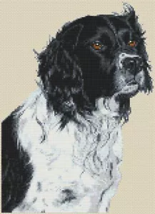 "Anticipation"" Springer Spaniel Kreuzstich Design (Kit oder Diagramm) - Bild 1 von 1