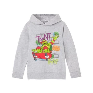Teenage Mutant Ninja Turtles Childrens/Kids Shell Skater Hoodie - Picture 1 of 1