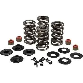 KW Racing Exhaust Intake Valve Spring Kit Buell Ulysses XB12X 06-10 - Image 1 of 3