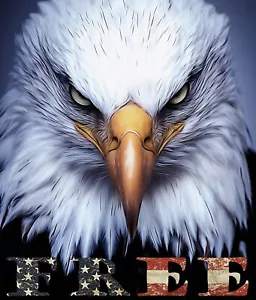 American Eagle trasferimento senza ferro da stiro per t-shirt + altri tessuti chiari e scuri #5 - Foto 1 di 2