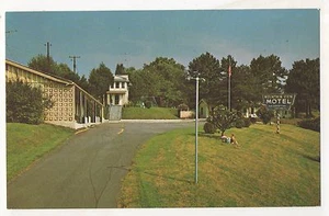 Mountain View Motel, BALDWIN GA - Vintage Georgia Chrome Postcard - Picture 1 of 2