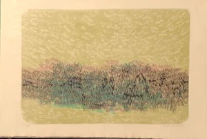 Yoshiko Noma artista giapponese. Litografia originale 1967 - Imagen 1 de 1
