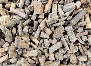 DIG-N-UTAH: CRINOID STEMS MOROCCO 1/4 LB LOT BULK FOSSIL - Imagen 1 de 11