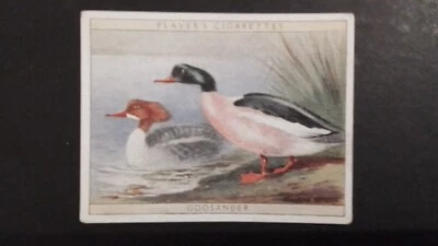 J. PLAYER. 1928. NO. 5.   GAME BIRDS AND WILD FOWL,  GOOSANDER. - Image 1 of 2