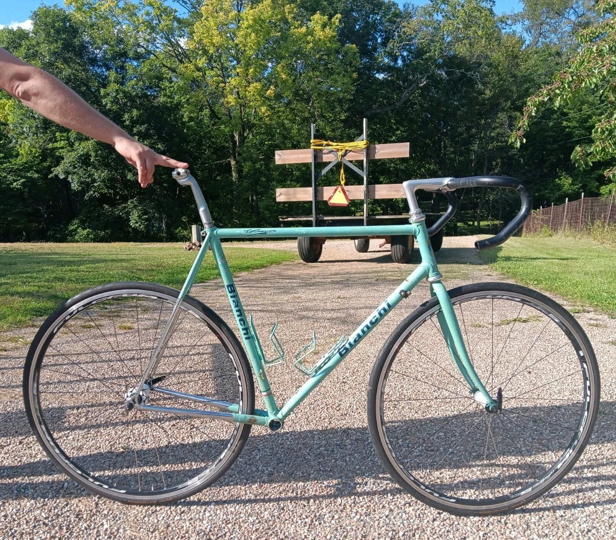Bianchi products for sale | eBay