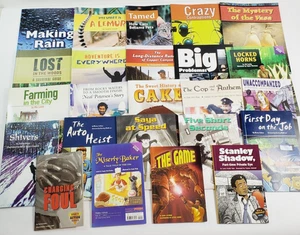 Lot of 24 Fountas & Pinnell LLI Purple System Level S Leveled Literacy Readers - Picture 1 of 10