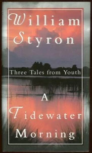 Tidewater Morning Three Tales from Youth by William Styron 1993 1st edition DJ - Picture 1 of 1
