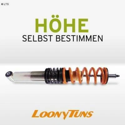 Loonytuns Coilover VW Bora 4motion Abbassamento Con Regolazione Durezza Vendita - Immagine 1 di 4