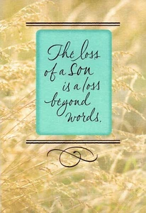 Carta Thoughtful & Heartfelt SIMPATIA LOSS OF SON, Beyond Words di Hallmark +✉ - Foto 1 di 5
