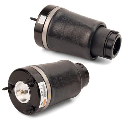SET-ARNA2596 Arnott Air Springs Set of 2 Rear Driver or Passenger Side Pair - Image 1 of 4