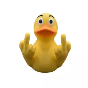 The Middle Finger Mini Duck Naughty Duck Car Dashboard Decor Resin Bath Gifts - Picture 1 of 10