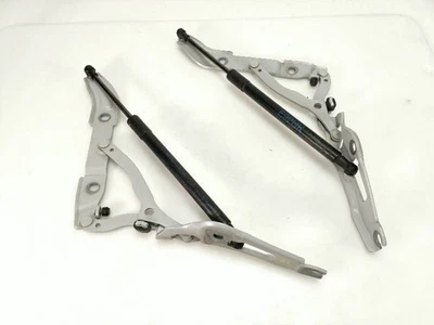 BMW 328 335 E90 E92 2007 2008 2009 juego de bisagras tapa maletero izquierda/derecha plateada OEM Foto 1 de 4