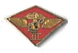 PIN SOLAPA SOMBRERO MILITAR - 3ER CUERPO DE MARINES PIN ALA AIRE - NUEVO - Imagen 1 de 1
