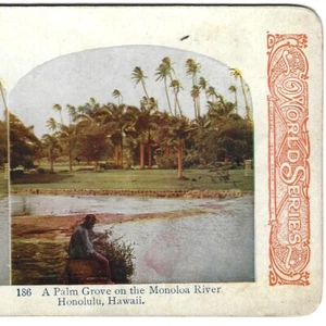 Tarjeta de vista estéreo Palm Grove, Monoloa River, Honolulu, Hawaii, c1906 World Series - Imagen 1 de 3