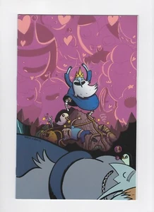 Adventure Time with Finn & Jake Comic Book #20, Boom 2013, Virgin Cover D - Picture 1 of 2