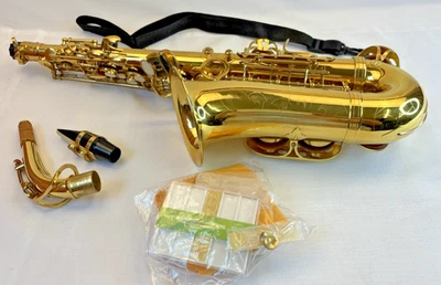 Unbranded Alto Saxophone: Gold in soft sided case w/ extras - Image 1 of 4