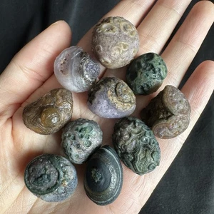 Juego de 10 piezas de cristal curativo de ágata ojo alivio elevado desierto Alxa Gobi crudo #3676 - Imagen 1 de 12