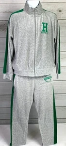 Stranger Things Gray Netflix Hawkins Track Jacket & Pants Size L & XL EUC A3718 - Picture 1 of 11