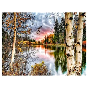 Malen nach Zahlen Leinwand Erwachsene Landschaft Sonnenuntergang Wald 40x50 cm - Bild 1 von 7