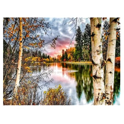 Malen nach Zahlen Leinwand Erwachsene Landschaft Sonnenuntergang Wald 40x50 cm - Bild 1 von 4