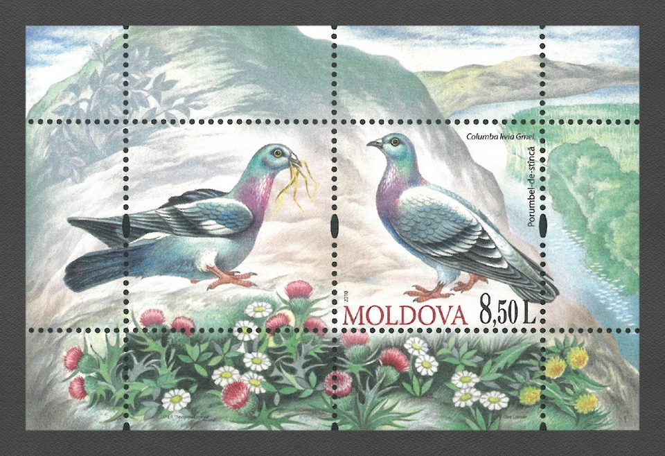 Moldova 2010 Birds Rock Dove MNH Block  - Image 1 of 1