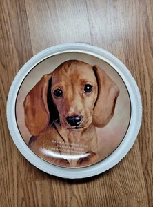 Placa de memoria decoración de porcelana Danbury Mint Eyes of Love Cherished Dachshunds 8" - Imagen 1 de 6