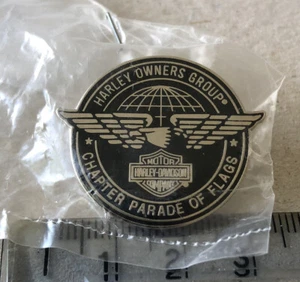 Sehr seltene Harley - Davidson Motor Company HOG Chapter Parade Of Flags Pin Anstecker - Bild 1 von 1
