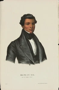 McKENNEY & HALL um 1865-70 Original handkolorierte Litho KANAPIMA AN OTTAWA CHIEF - Bild 1 von 1