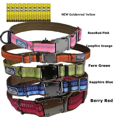 Coastal K9 Explorer Reflective Safety Dog Collar - Image 1 of 4