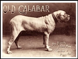 MASTIFF ESTILO VINTAGE ANTIGUO CALIBAR COMIDA PARA PERROS ANUNCIO ARTE IMPRESIÓN CARTEL - Imagen 1 de 1