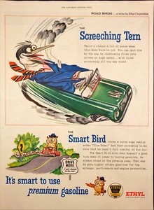 1955 Ethyl Benzin Smart Bird Druck Werbung Straße Vogelherstellung kreischende Kurve - Bild 1 von 6