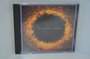 THE CRANBERRIES Salvation US DJ Radio Promo Only 1 Track CD 1996 - Imagen 1 de 1