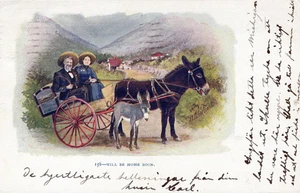 Postal de cómic firmada por Robertson Will Be Home Soon - udb - 1904 - Imagen 1 de 2