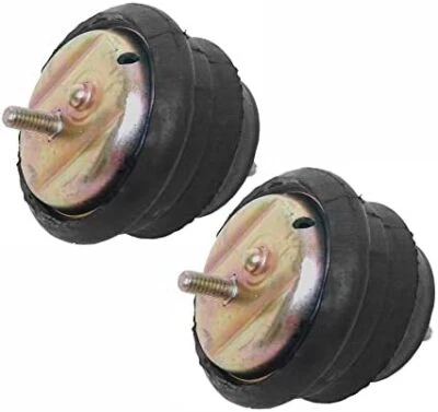 Montaje motor BMW 525i 528i 530i 2001-2003 Foto 1 de 2