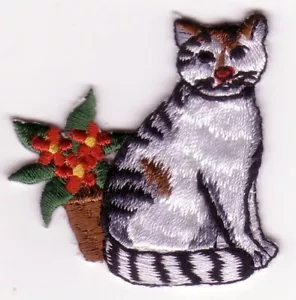 American Wirehair Cat Flower Embroidery Patch - Picture 1 of 1