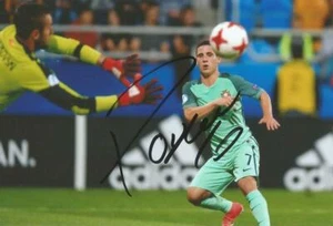 PORTUGAL & WÖLFE: DANIEL PODENCE SIGNED 6x4 ACTION PHOTO + COA - Bild 1 von 1