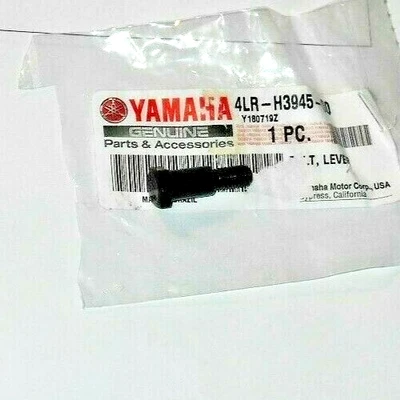 YAMAHA TTR125, TTR230 TTR 125 230 РЫЧАГ СЦЕПЛЕНИЯ ПОВОРОТНЫЙ БОЛТ, 4LR-H3945-00-00 - Изображение 1 из 2