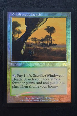 Magic The Gathering MTG WINDSWEPT HEATH FOIL #1 Onslaught LP Lightly Played - Image 1 of 2